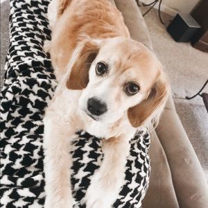 Meet your Posher, Gage